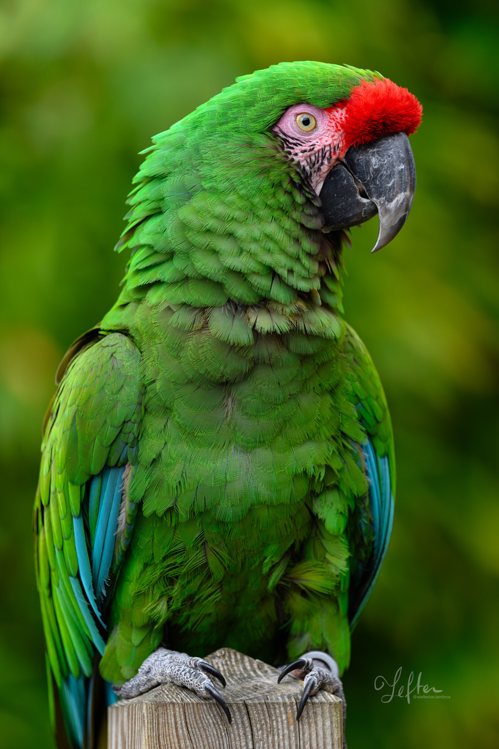 Photographie de Xavier Lambros, sélection 02