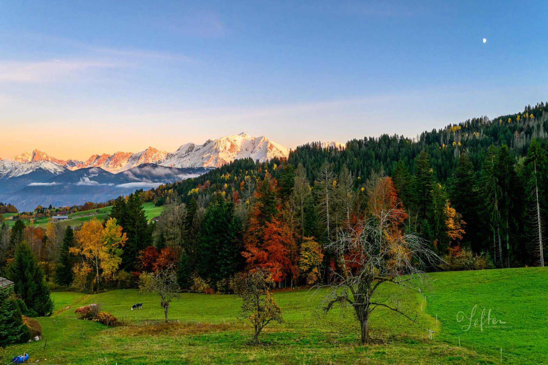 Photographie de Xavier Lambros: DSC_5702-DxO_DeepPRIME 3-insta.jpg